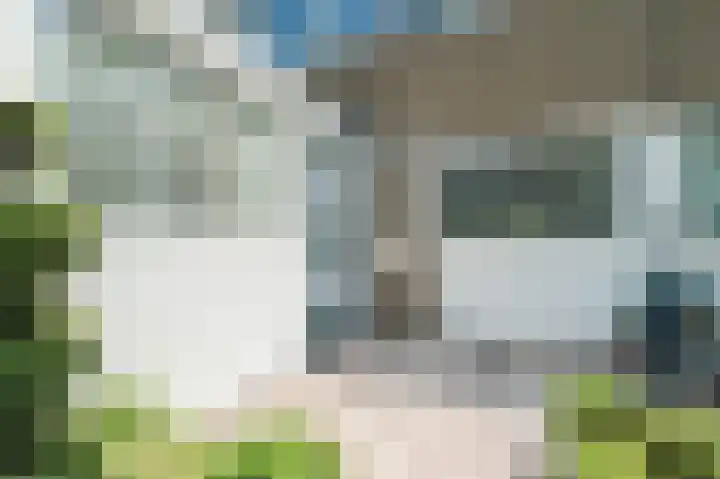 Bloemstede 294 Maarssen thumbnail 5