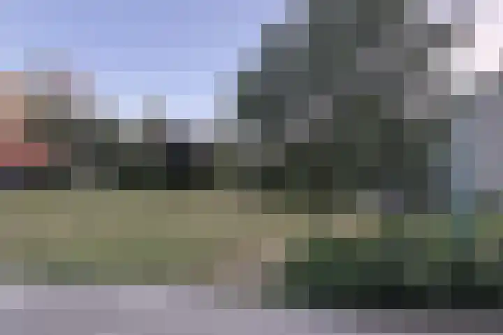 Bloemstede 294 Maarssen thumbnail 55