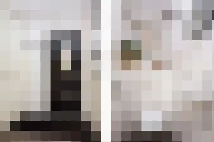 Bloemstede 303 Maarssen thumbnail 13