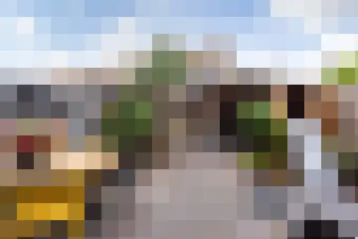 Bloemstede 303 Maarssen thumbnail 30
