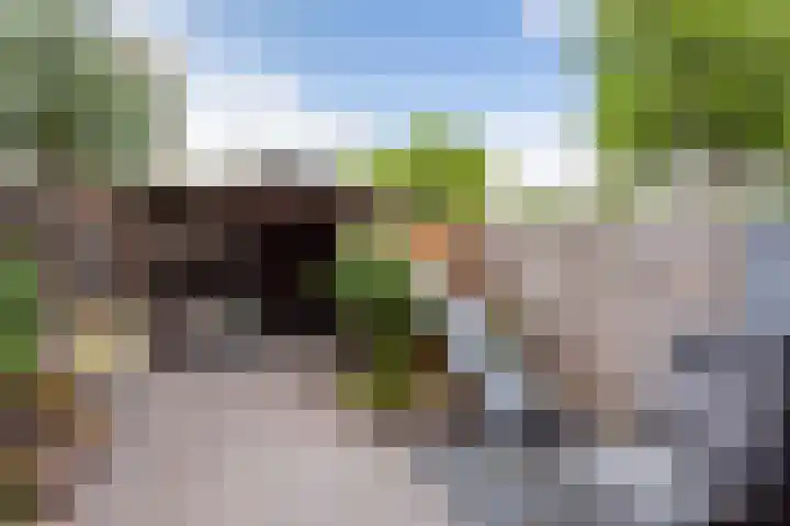 Bloemstede 303 Maarssen thumbnail 31