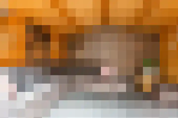Bloemstede 303 Maarssen thumbnail 32