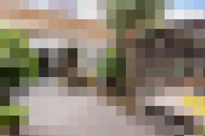 Bloemstede 303 Maarssen thumbnail 34