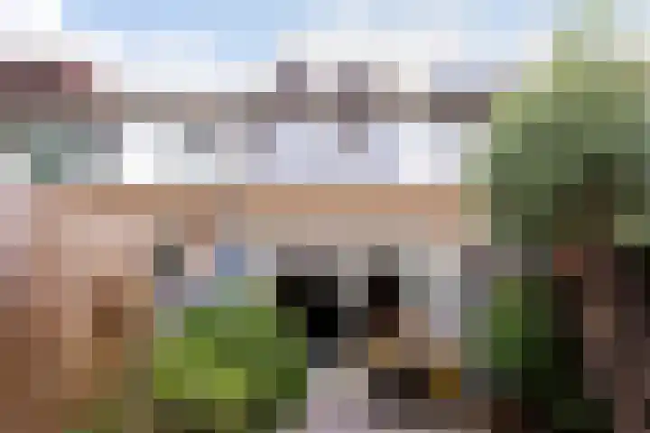 Bloemstede 303 Maarssen thumbnail 35