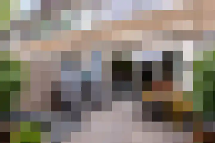 Bloemstede 303 Maarssen thumbnail 36