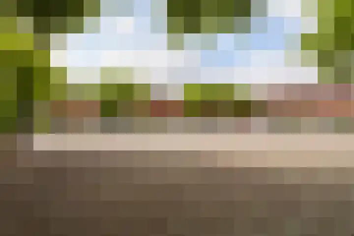 Bloemstede 303 Maarssen thumbnail 40