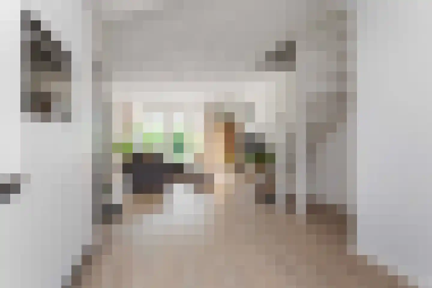 Bloemstede 315 Maarssen thumbnail 13