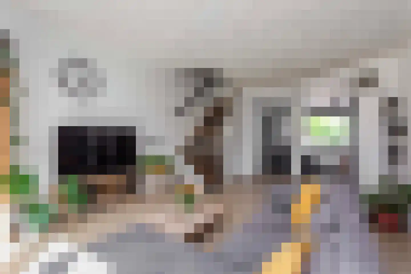 Bloemstede 315 Maarssen thumbnail 8