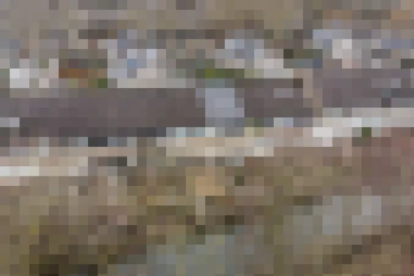 Bloemstede 344 Maarssen thumbnail 30