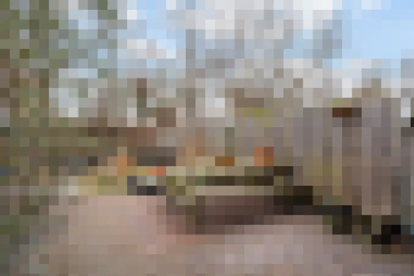 Bloemstede 344 Maarssen thumbnail 8