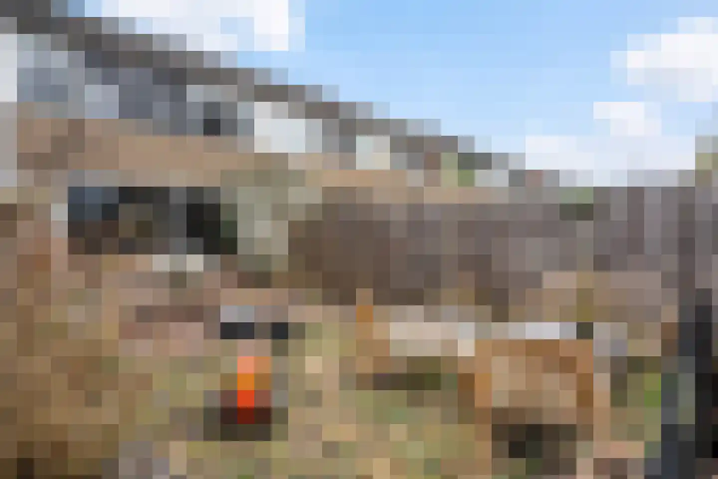 Bloemstede 344 Maarssen thumbnail 9
