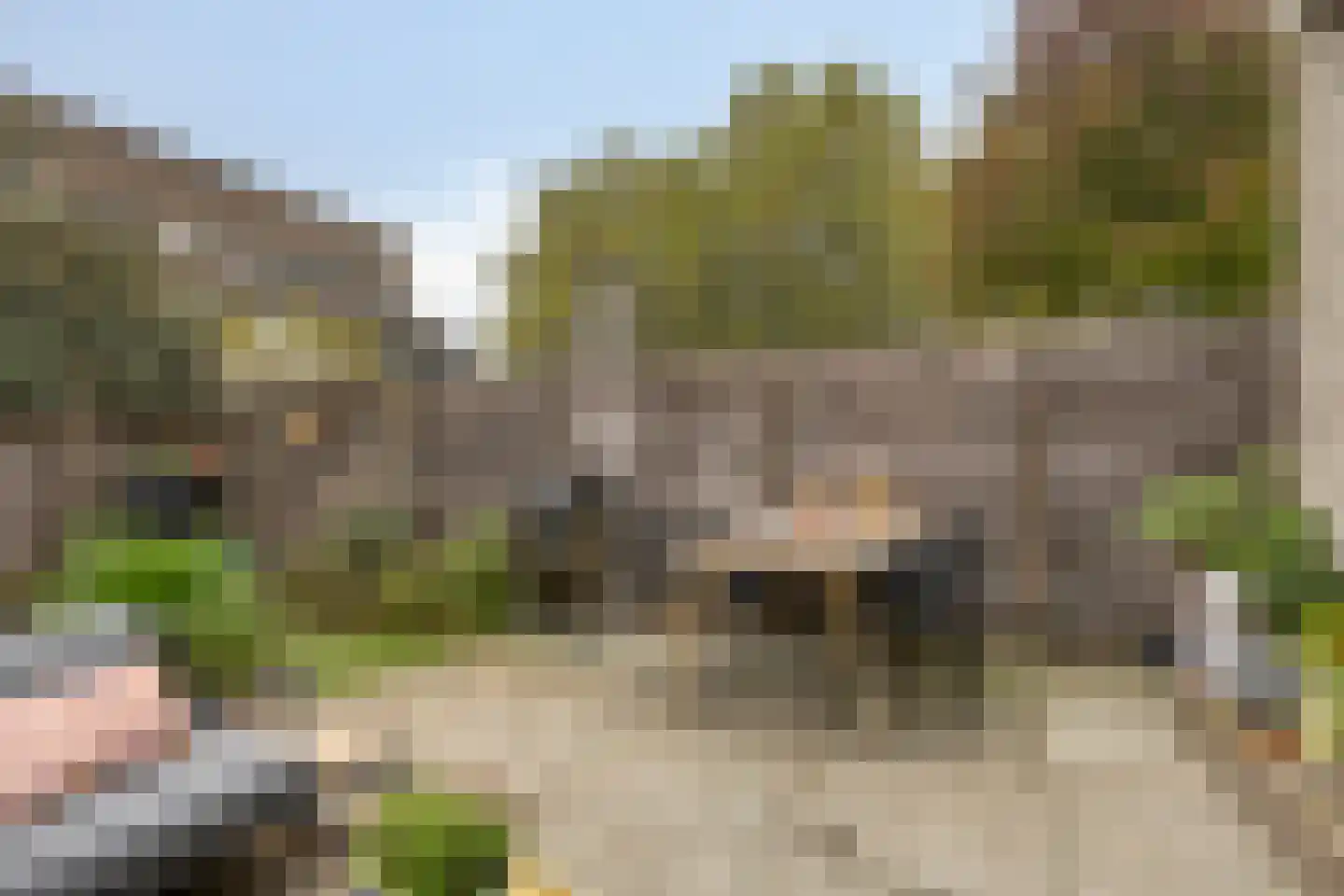 Bloemstede 358 Maarssen thumbnail 42