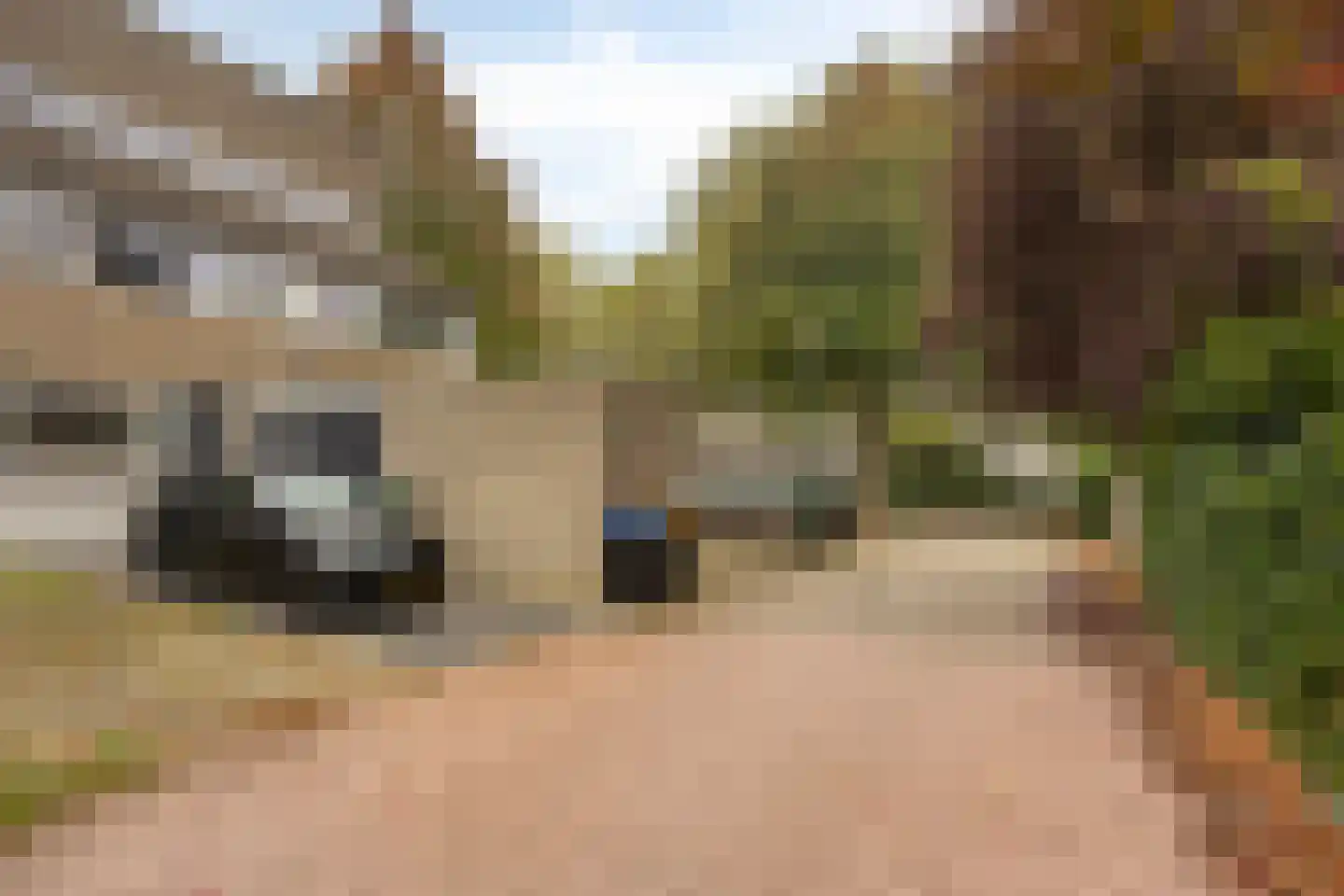 Bloemstede 358 Maarssen thumbnail 5