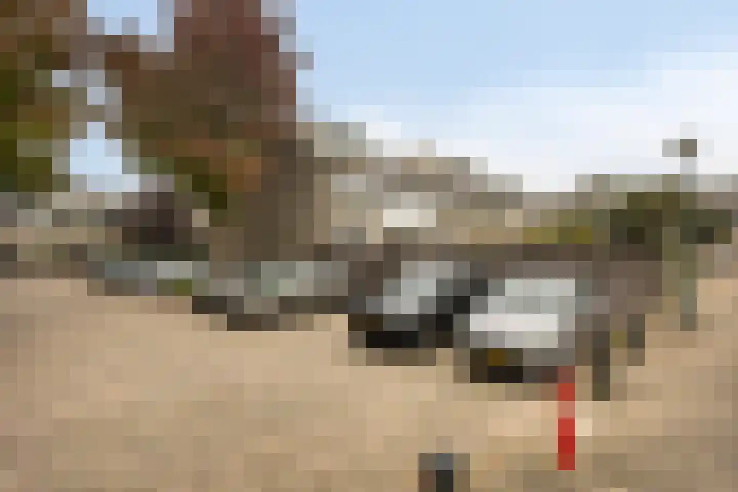 Bloemstede 358 Maarssen thumbnail 6