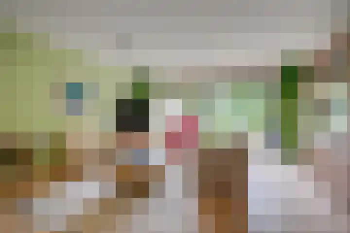 Bloemstede 375 Maarssen thumbnail 16