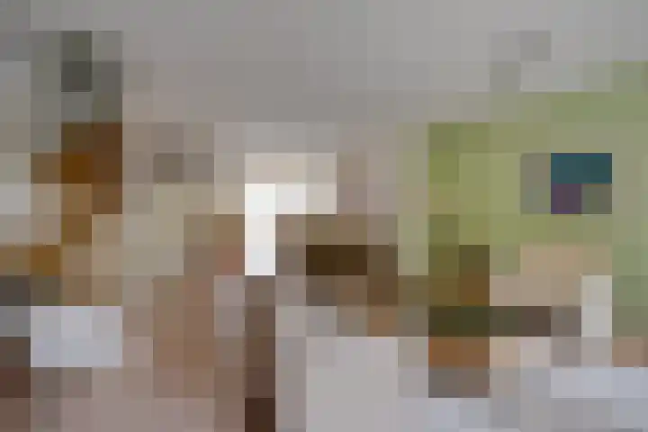 Bloemstede 375 Maarssen thumbnail 18