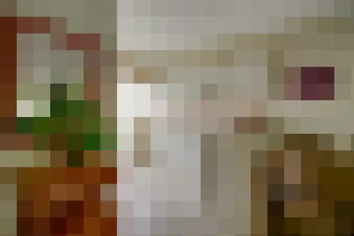 Bloemstede 375 Maarssen thumbnail 22