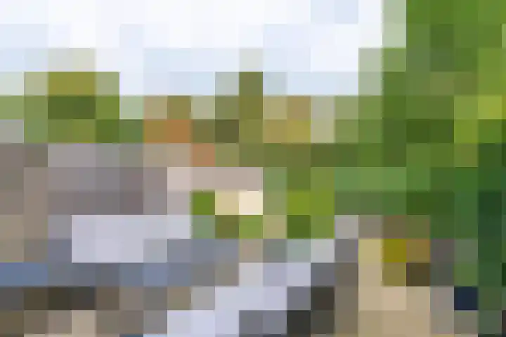 Bloemstede 375 Maarssen thumbnail 27