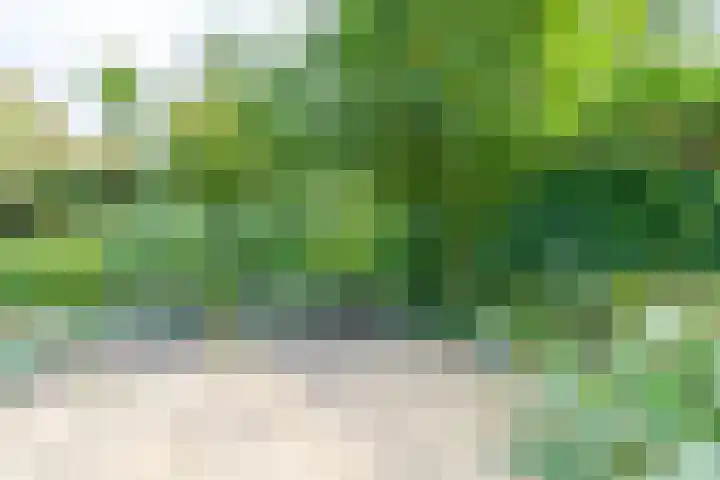 Bloemstede 375 Maarssen thumbnail 28