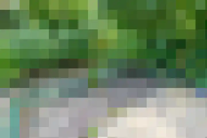 Bloemstede 375 Maarssen thumbnail 29