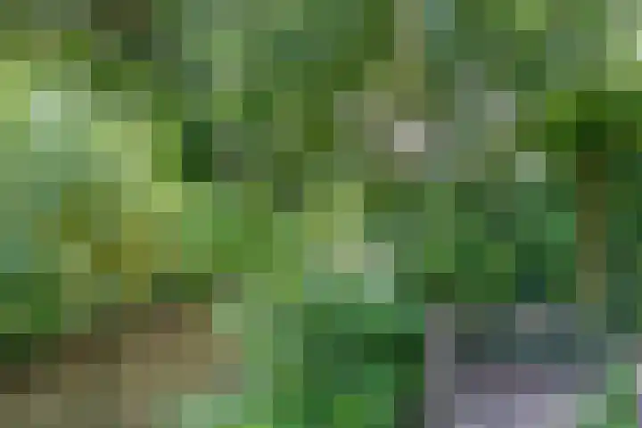Bloemstede 375 Maarssen thumbnail 30