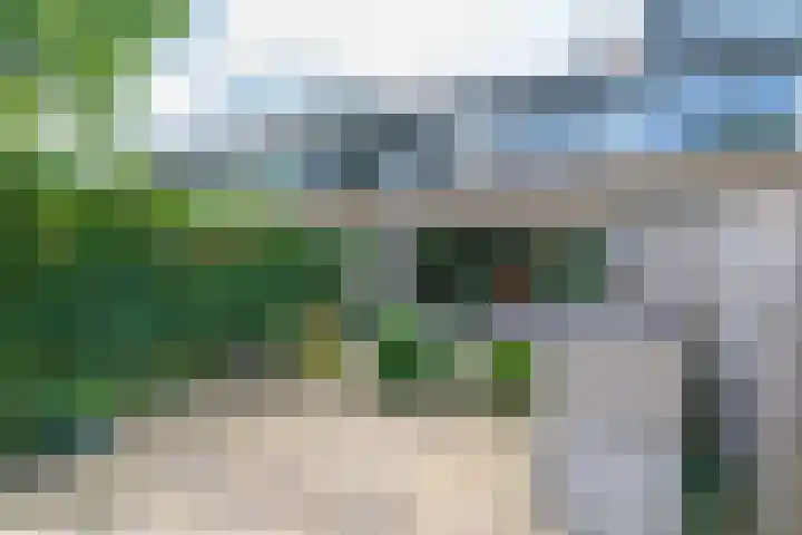 Bloemstede 375 Maarssen thumbnail 31