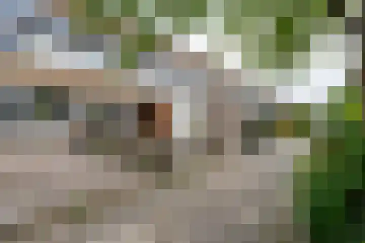 Bloemstede 375 Maarssen thumbnail 49