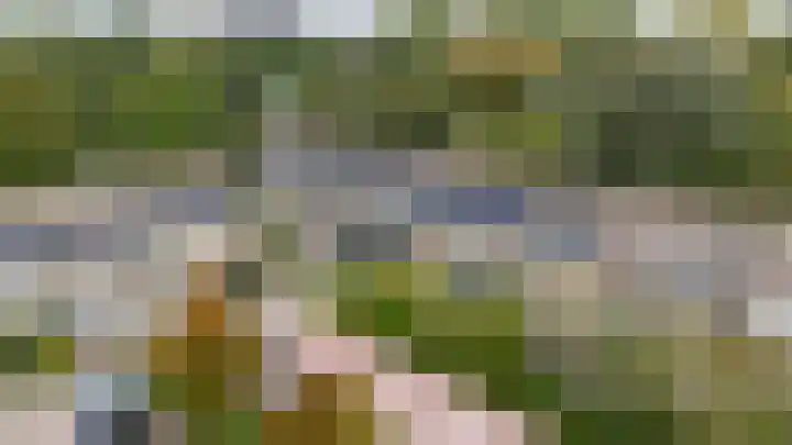 Bloemstede 375 Maarssen thumbnail 6