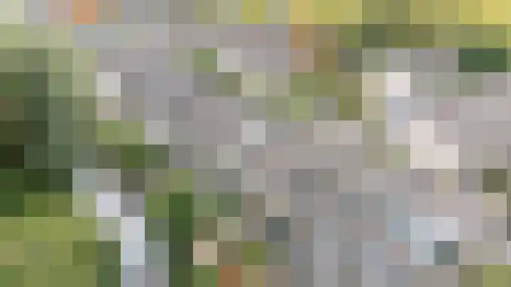 Bloemstede 375 Maarssen thumbnail 8