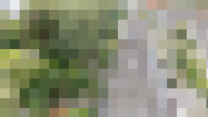 Bloemstede 375 Maarssen thumbnail 9