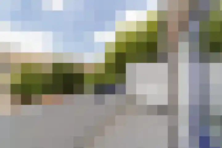 Bloemstede 415 Maarssen thumbnail 14