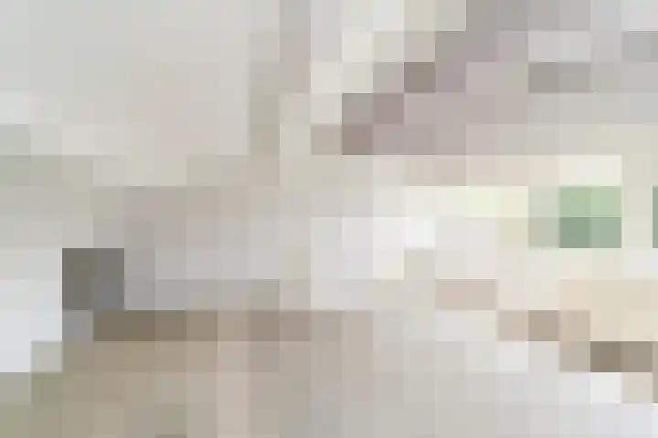 Bloemstede 415 Maarssen thumbnail 25