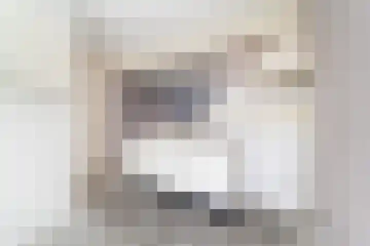 Bloemstede 415 Maarssen thumbnail 9
