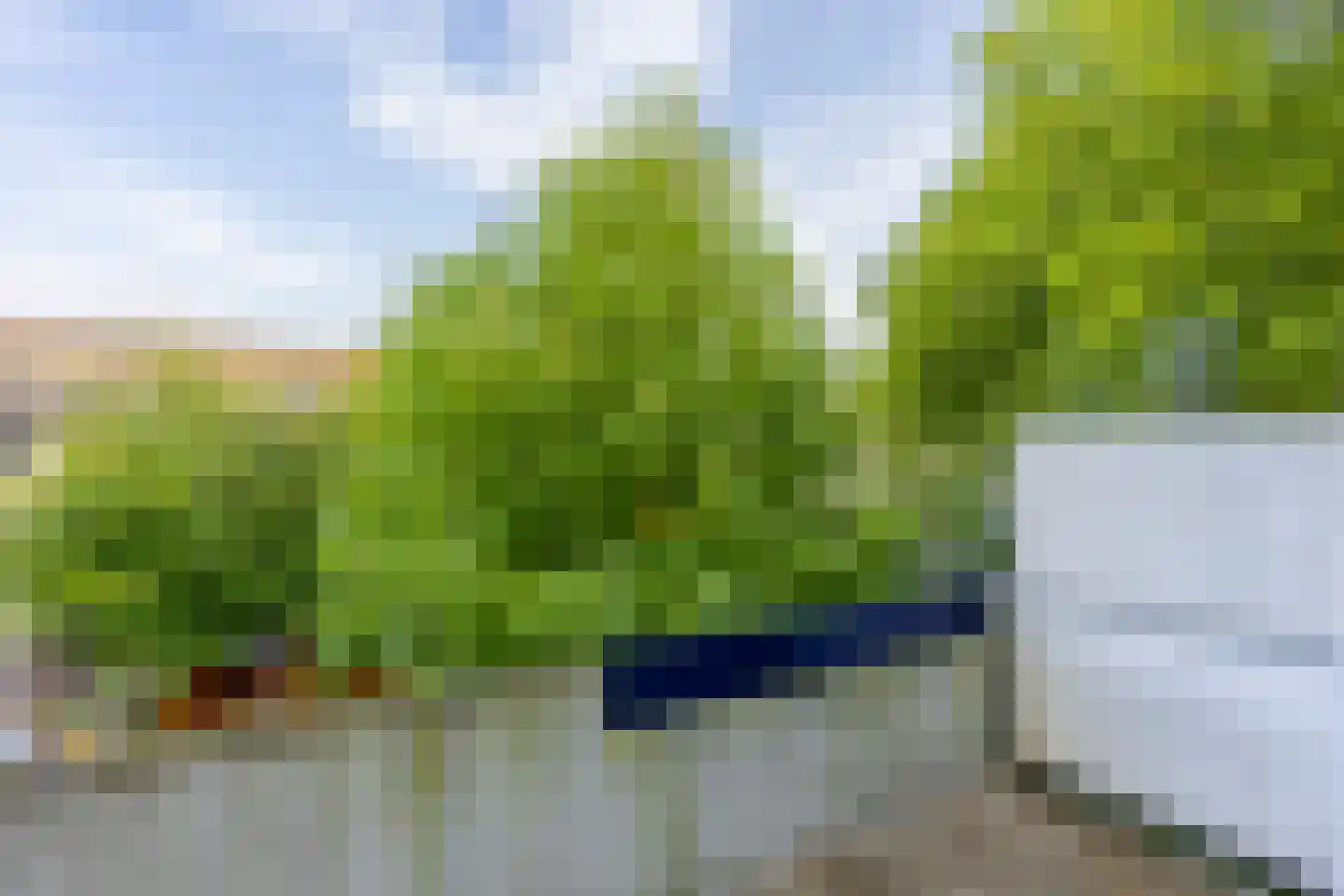 Bloemstede 416 Maarssen thumbnail 22