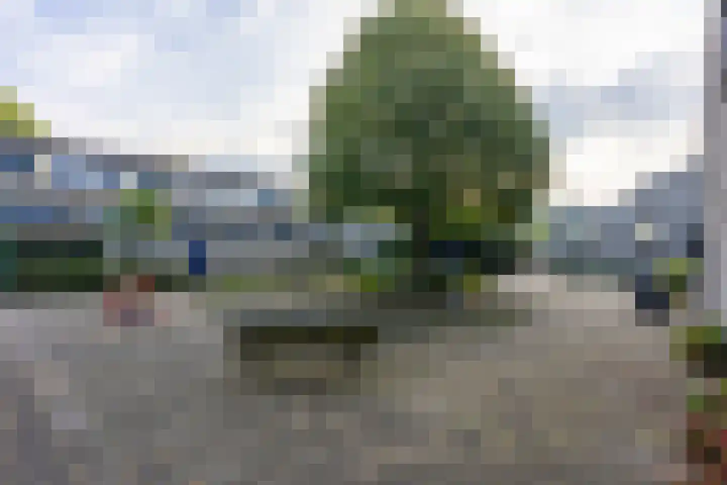 Bloemstede 416 Maarssen thumbnail 43