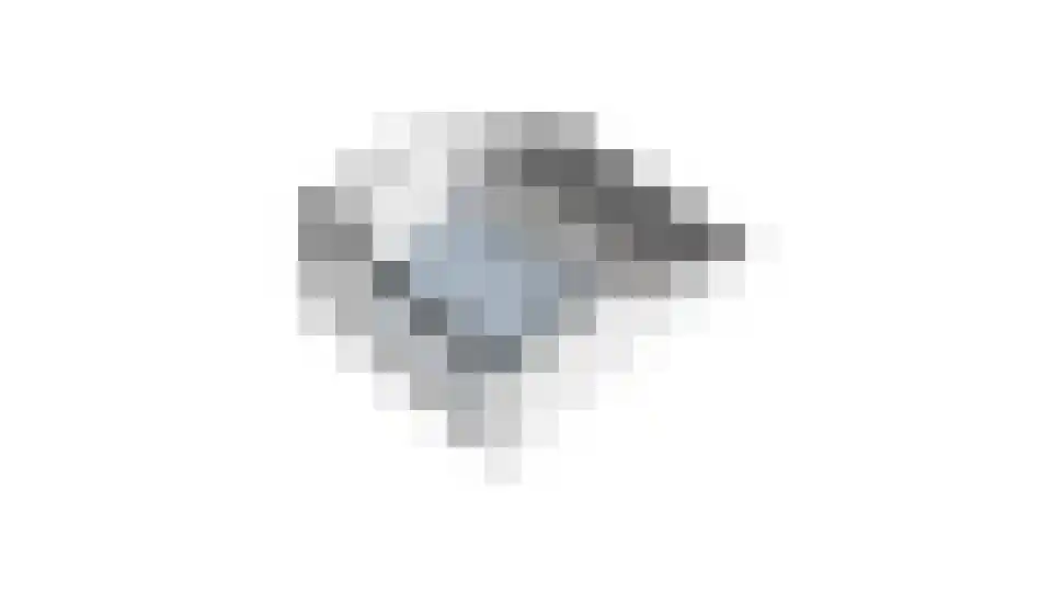 Bloemstede 416 Maarssen thumbnail 54
