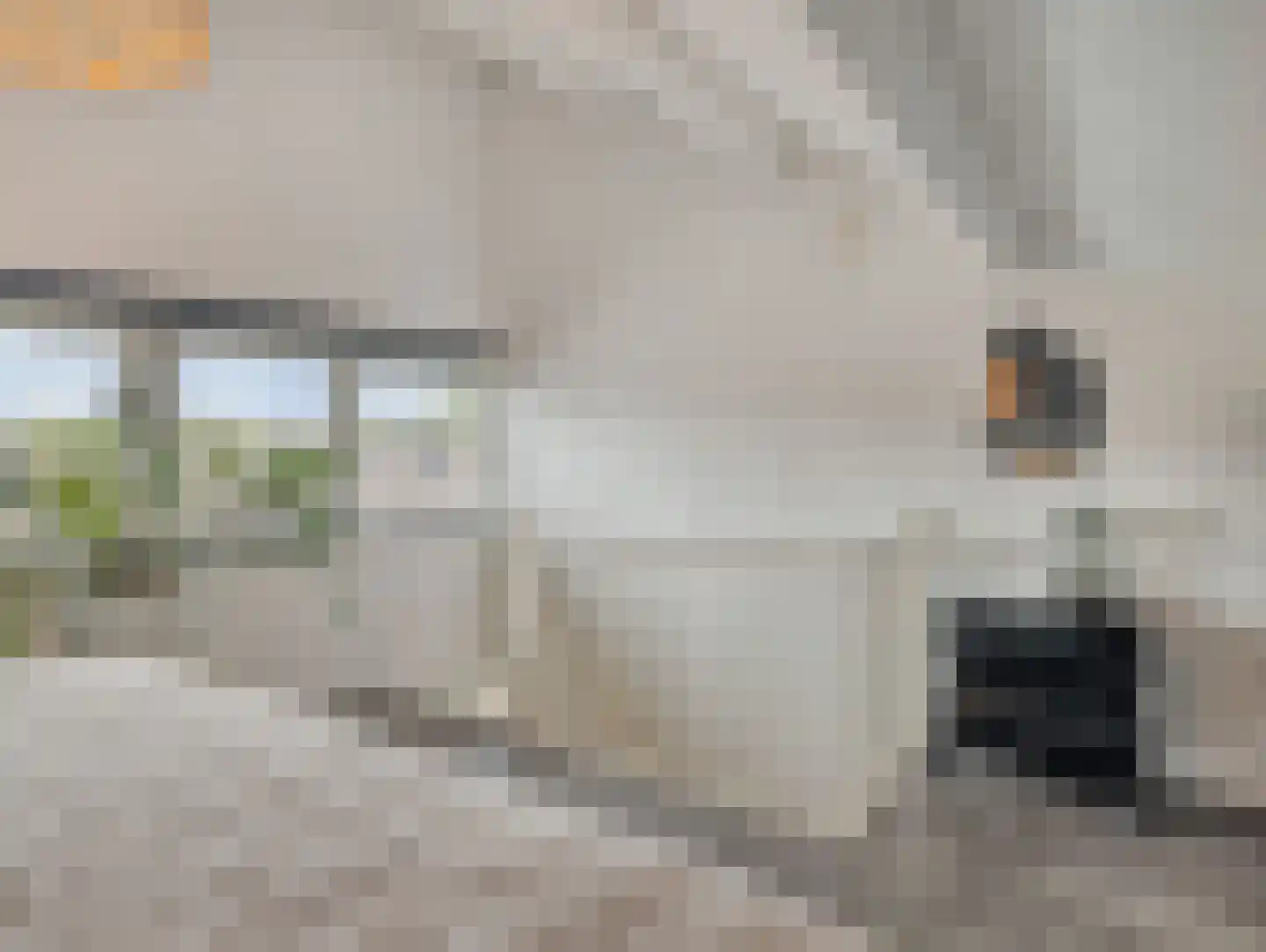 Bloemstede 446 Maarssen thumbnail 27
