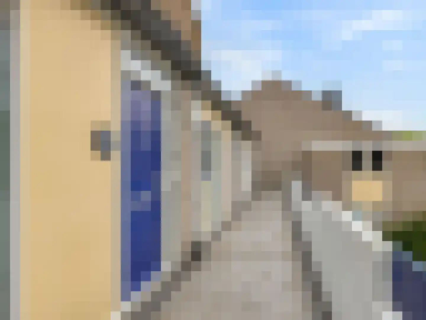 Bloemstede 446 Maarssen thumbnail 31