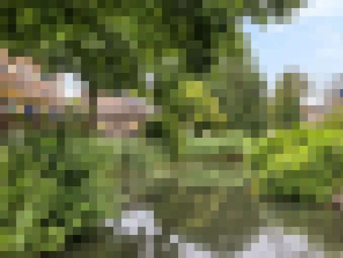 Bloemstede 446 Maarssen thumbnail 33