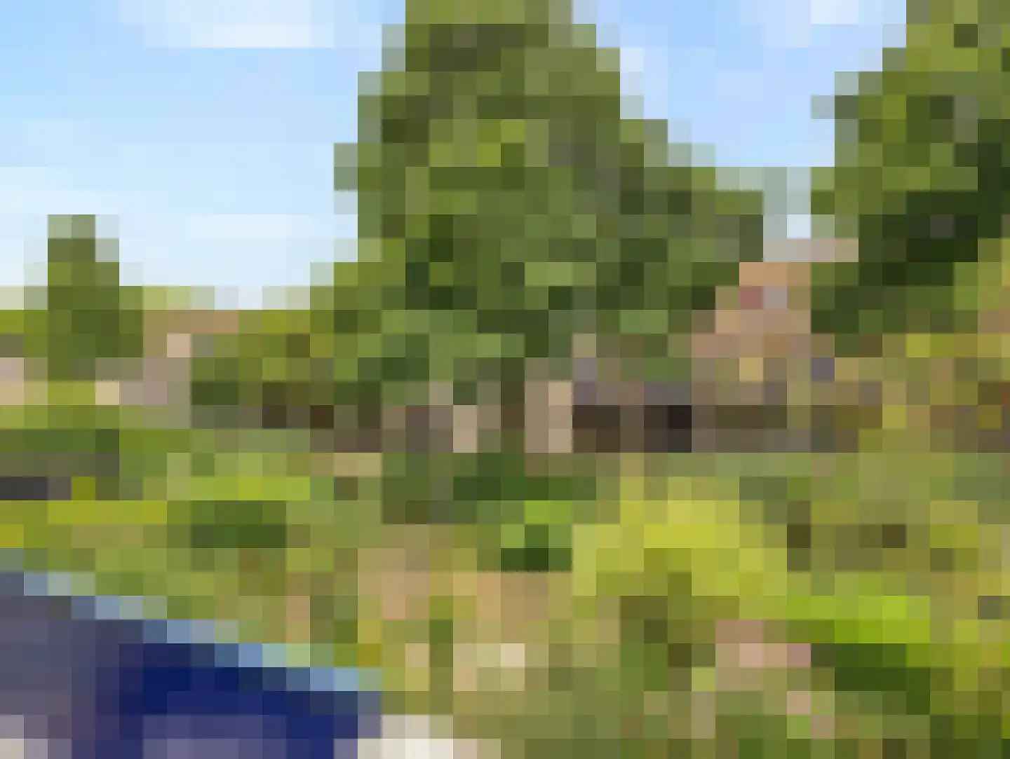 Bloemstede 446 Maarssen thumbnail 4