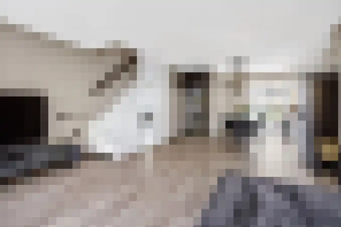 Bloemstede 492 Maarssen thumbnail 12