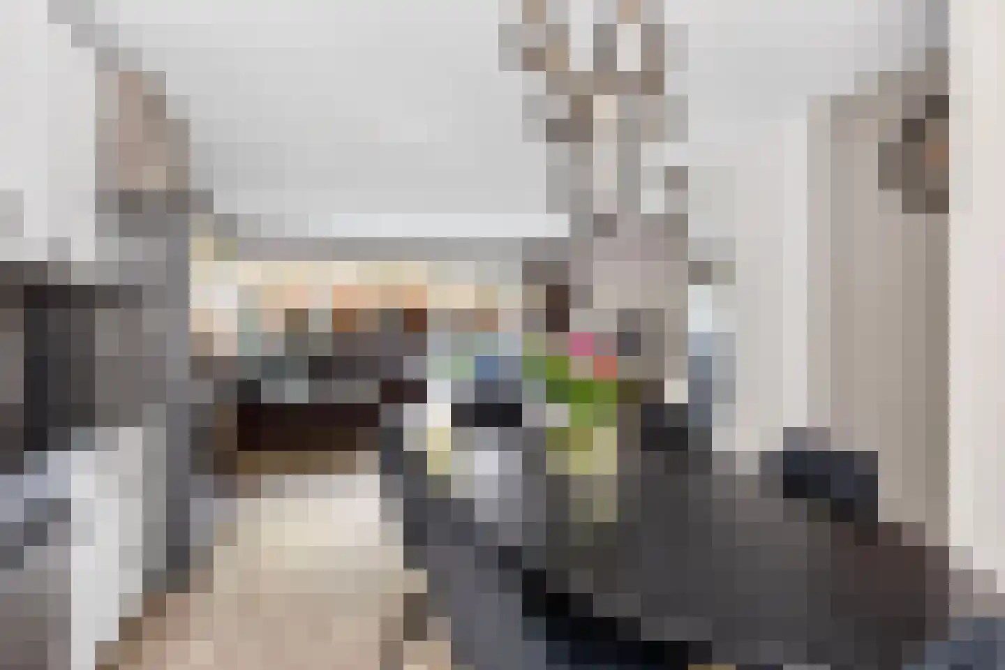 Bloemstede 492 Maarssen thumbnail 16