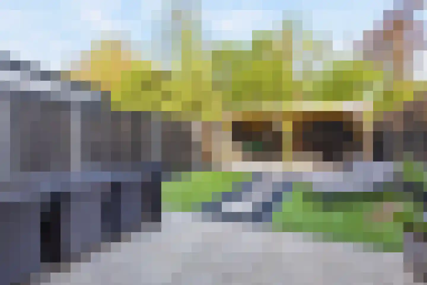 Bloemstede 492 Maarssen thumbnail 30