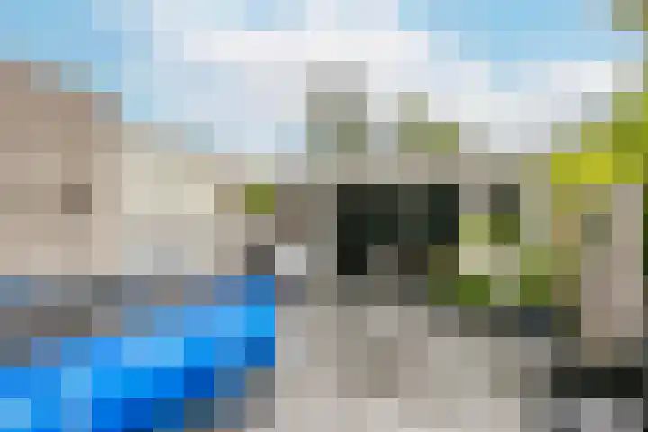 Bloemstede 578 Maarssen thumbnail 26