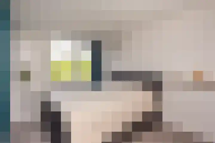 Bloemstede 638 Maarssen thumbnail 17