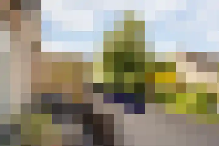 Bloemstede 638 Maarssen thumbnail 30