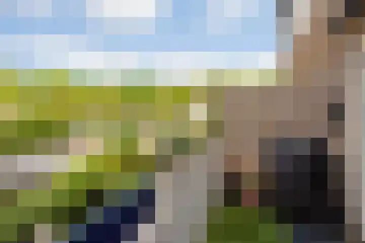 Bloemstede 638 Maarssen thumbnail 32