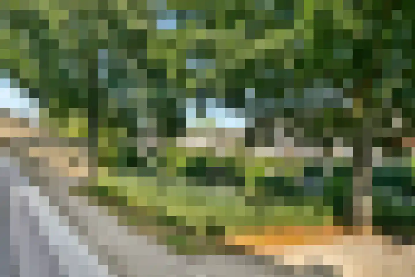 Bloemstede 664 Maarssen thumbnail 32