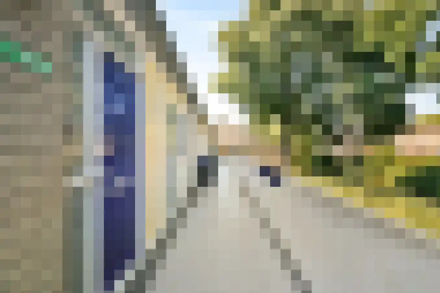 Bloemstede 664 Maarssen thumbnail 4