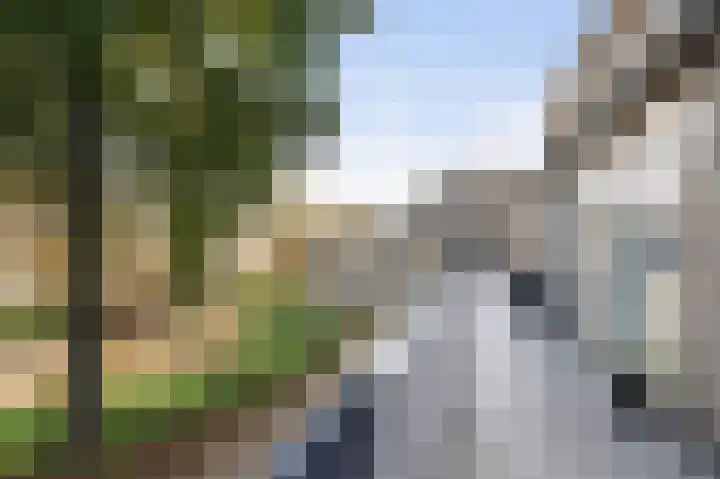 Bloemstede 687 Maarssen thumbnail 28